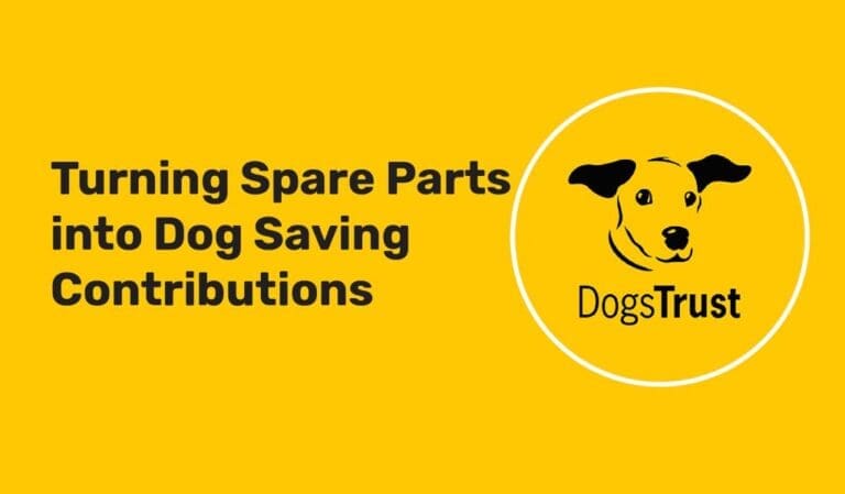 Turning Spare Parts into Dog Saving Contributions