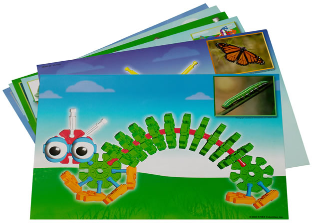 79580 Organisms And Lifecycles instruction manual